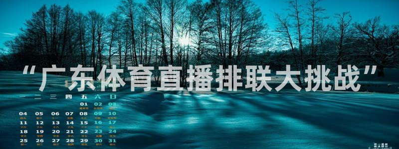 黑白nba直播免费：“广东体育直播排联大挑战”