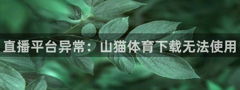 jrs黑白直播：直播平台异常：山猫体育下载无法使用