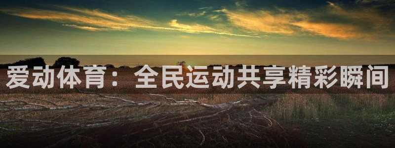 黑白体育ufc直播：爱动体育：全民运动共享精彩瞬间