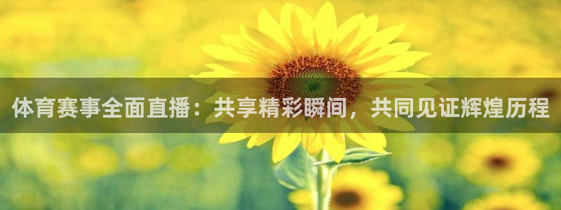 黑白体育免费直播：体育赛事全面直播：共享精彩瞬间，共同见证辉煌历程