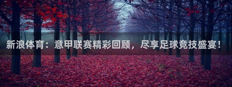 黑白直播体育免费版下载：新浪体育：意甲联赛精彩回顾，尽享足球竞技盛宴！