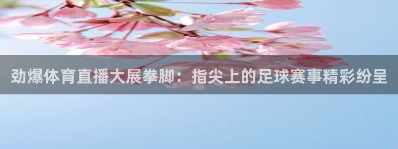 黑白直播官方免费下载：劲爆体育直播大展拳脚：指尖上的足球赛事精彩纷呈